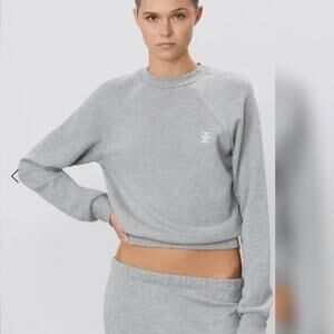 NWOT $230 ETERNE L SHRUNKEN RAGLAN SWEATSHIRT